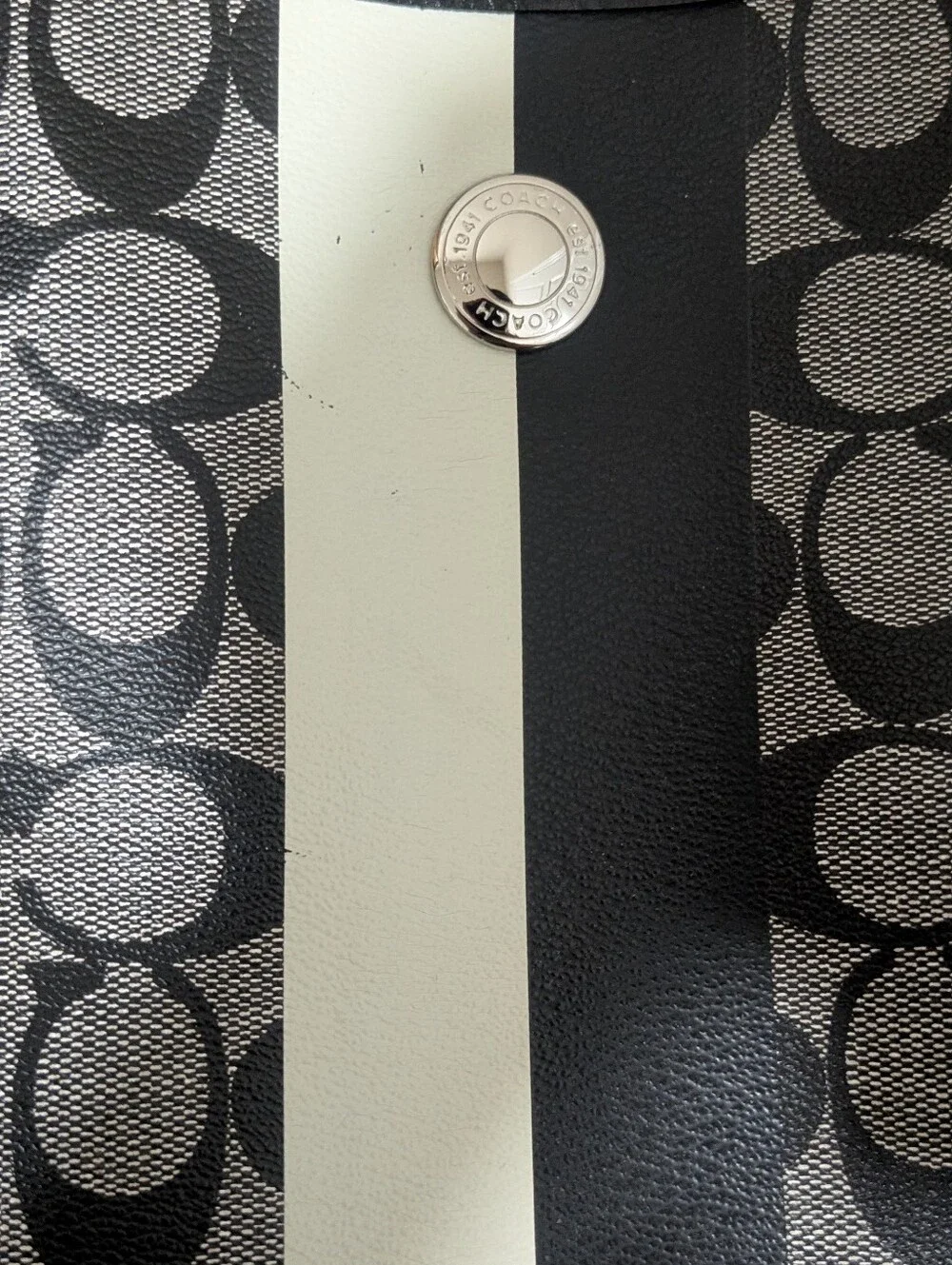 Coach rectangular crescent